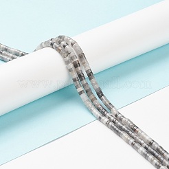 Natural Eagle Eye Stone Beads Strands&nbsp;X-G-H230-46