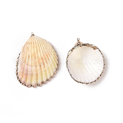 Shell Pendants&nbsp;SHEL-P075-03