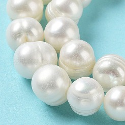 Natural Cultured Freshwater Pearl Beads Strands&nbsp;PEAR-E019-02