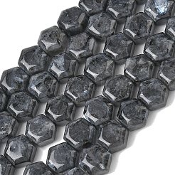Natural Larvikite Beads Strands&nbsp;G-G463-A05-10x11mm