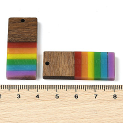 Pride Rainbow Theme Resin & Walnut Wood Pendants&nbsp;WOOD-K012-06B