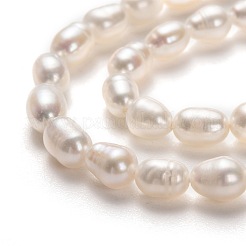 Natural Cultured Freshwater Pearl Beads Strands&nbsp;PEAR-J005-58