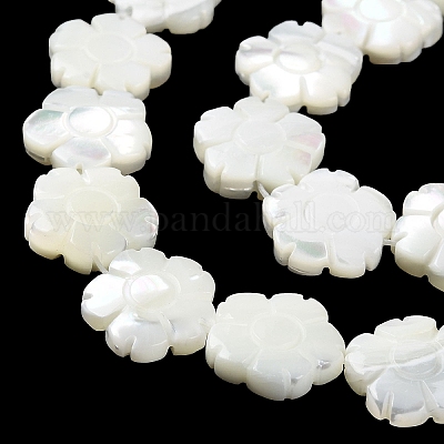 Natural Trochus Shell Beads Strands&nbsp;BSHE-E030-03-1