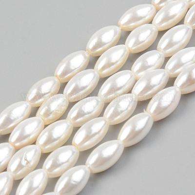 Natural Freshwater Shell Beads Strands&nbsp;SHEL-T017-12-1