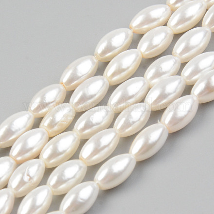 Natural Freshwater Shell Beads Strands&nbsp;SHEL-T017-12-1