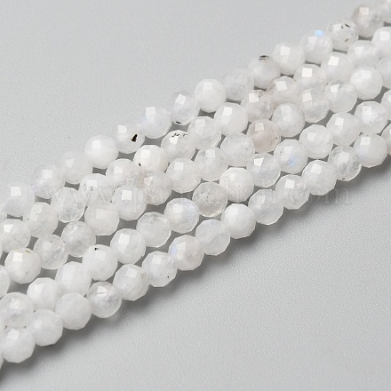 Natural Rainbow Moonstone Beads Strands&nbsp;X-G-O186-D02-01-1