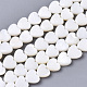 Natural Freshwater Shell Beads Strands&nbsp;SHEL-N026-67-1
