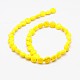 Flat Round Synthetic Turquoise Beads Strands&nbsp;TURQ-I022-16x6mm-10-2