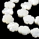 Natural Trochus Shell Beads Strands&nbsp;BSHE-E030-03-4