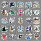 50Pcs PET Stickers&nbsp;PW-WGFF8CD-01-4