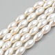 Natural Freshwater Shell Beads Strands&nbsp;SHEL-T017-12-1