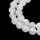 Natural Rainbow Moonstone Beads Strands&nbsp;G-B074-B07-03-4