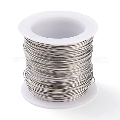 Non-Tarnish 316 Surgical Stainless Steel Wire, for Jewelry Making, Stainless Steel Color, 21 Gauge, 0.7mm, about 42.65 Feet(13m)/roll