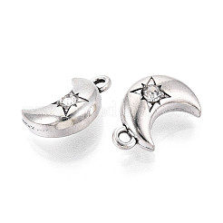Tibetan Style Alloy Charms&nbsp;TIBE-N013-22AS