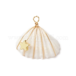 Natural Spiral Shell Copper Wire Wrapped Pendants&nbsp;PALLOY-TA00016