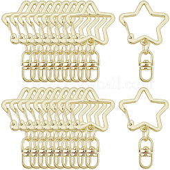 20Pcs Zinc Alloy Keychain Clasps&nbsp;FIND-SP0004-20LG