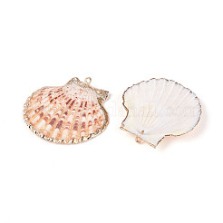 Electroplate Sea Shell Pendants&nbsp;X-SSHEL-S262-32