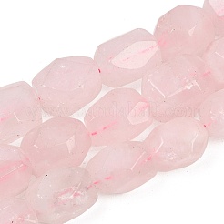 Natural Rose Quartz Beads Strands&nbsp;G-Z147-E08-01