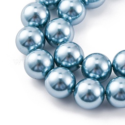 Shell Pearl Beads Strands&nbsp;BSHE-K015-10mm-02