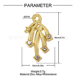 Zinc Alloy with Crystal Rhinestone Pendants&nbsp;RB-OY001-75G