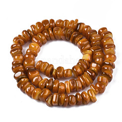 Natural Trochid Shell/Trochus Shell Beads Strands&nbsp;SHEL-S258-081-B09