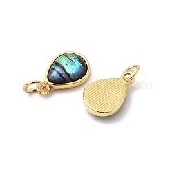 Epoxy Resin & Natural Paua Shell Teardrop Charms&nbsp;KK-K384-09G