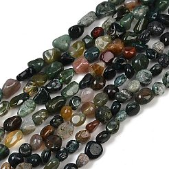 Natural Indian Agate Beads Strands&nbsp;G-Q060-D08-02