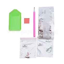 DIY Diamond Painting Stickers Kits For Plastic Mirror Making&nbsp;DIY-F059-38