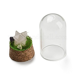 Natural Rose Quartz Polygon Display Decoration with Glass Dome Cloche Cover&nbsp;DJEW-B009-05F