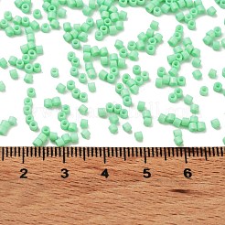 Baking Paint Glass Seed Beads&nbsp;SEED-S042-05B-59