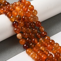 Dyed & Heated Natural Agate Beads Strands&nbsp;G-P539-D01-07