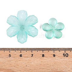 Transparent Acrylic Beads&nbsp;OACR-H039-04G