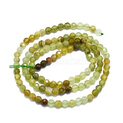 Natural Green Garnet Beads Strands&nbsp;G-P457-A03-25