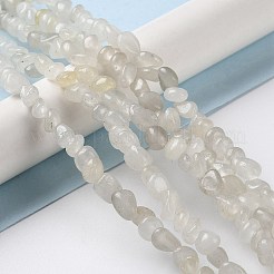 Natural White Jade Bead Strands&nbsp;G-F465-58