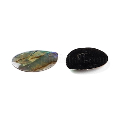 Paua Shell Cabochons&nbsp;SSHEL-C008-11