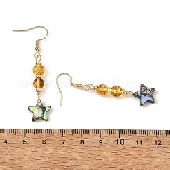 Natural Amber & Abalone Shell/Paua Shell Beads Dangle Earrings&nbsp;EJEW-JE07315-02