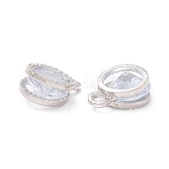 Alloy Clear Cubic Zirconia Charms&nbsp;LS-ZIRC-A022-04P