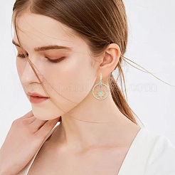 10 Pairs Brass Earring Hooks&nbsp;KK-BBC0025-12B