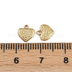 304 Stainless Steel Charms&nbsp;STAS-K295-14G