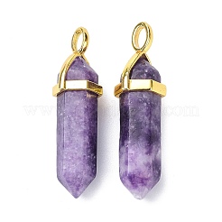 Natural Lepidolite/Purple Mica Stone Pointed Pendants&nbsp;G-G025-01G-30