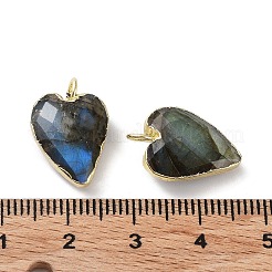 Natural Mixed Stone Pendants&nbsp;G-G012-11G-B
