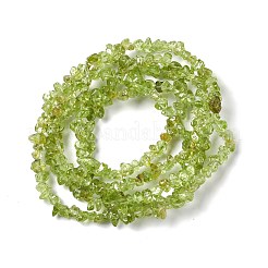 Natural Peridot Chip Beads Strands&nbsp;G-G905-09