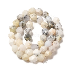 Natural White African Opal  Beads Strands&nbsp;G-K382-A13-02