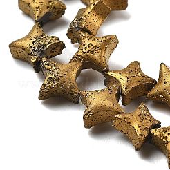 Electroplated Natural Lava Rock Beads Strands&nbsp;G-A251-C01-01G