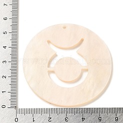 Acrylic Pendants&nbsp;LS-SACR-S680-06G
