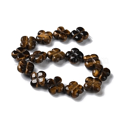 Natural Tiger Eye Beads Strands&nbsp;G-M418-D04-01