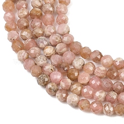 Natural Rhodonite Beads Strands&nbsp;G-B175-D10-4mm