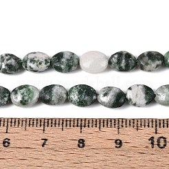 Natural Green Spot Jasper Beads Strands&nbsp;G-T142-26