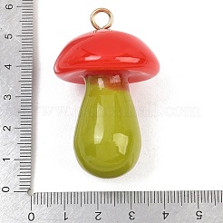 Opaque Resin Big Pendants&nbsp;FIND-E053-02A-G
