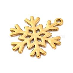 304 Stainless Steel Pendants&nbsp;STAS-G354-04G
